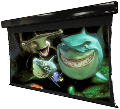 Elite Screens DTE117C94H-E16 117" Projection Screen