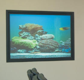Draper IRUS Rear Video Projector Screen 