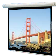 Draper Salara Video Projector Screen