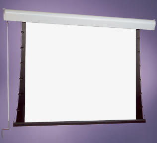 Draper - Silhouette/Series C Video Projector Screen 