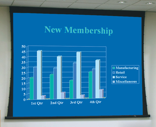 Draper - Ultimate Access V Video Front Projector Screen 