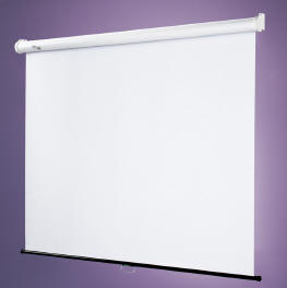 Draper - Star Video Projector Screen 