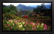 Hitachi CMP-4221U Plasma Tv