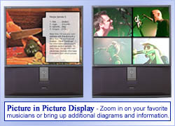 Picture in Picture Display (PIP)