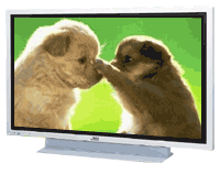 jvc GD-V501U 50 inch plasma display monitor