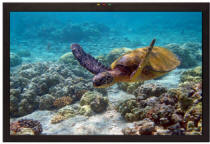 Marshall V-R201-IMD-TE Rack Mount Lcd Monitor