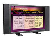 Mitsubishi MLM300 30 inch LCD Computer Monitor