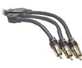 Monster Cable I203AVP-1M Composite Video Cable