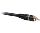 Monster Cable SV1R-1M Composite Video Cable