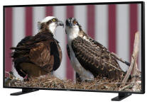 NEC LCD4620-2-AV LCD Monitor