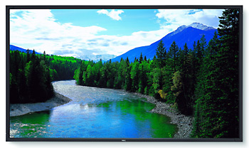 NEC LCD5220-AV Professional LCD Display