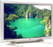 NEC Plasma 42XR3 42 inch HDTV Monitor