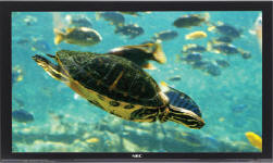 Nec PX-42XR5 Plasma Tv