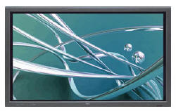 Nec 50XM6 50 inch Plasma Tv