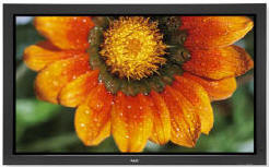 Nec 50XP10 50 inch Plasma Tv