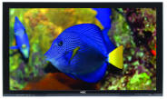 Nec PX-50XR6 50 inch HDTV Plasma Tv