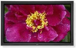 Nec 60XP10 60 inch Plasma Tv