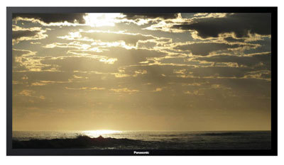 Panasonic TH-152UX1 152 inch Professional Plasma Display