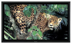 Panasonic TH-50PF9UK 50 inch 1080p Plasma Tv