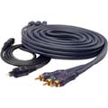 Phoenix Gold DVD-3031CV Component Video Cable