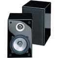 Pinnacle BD500 Bookshelf Speaker