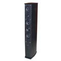 Pinnacle DIGTWR-2000 Tower Speaker