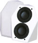 Pinnacle CS-66 Powered Subwoofer