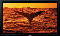 Pioneer PDP-607CMX 60 inch HDTV Plasma Tv