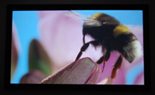 Epson 6100 Home Cinema Projector Out-Of-Box Screen Shot