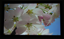 Epson 6100 Home Cinema Projector Out-Of-Box Screen Shot 3