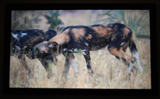 Epson 6100 Home Cinema Projector Out-Of-Box Screen Shot 4