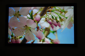 Epson Home Cinema Proejctor Out-Of-Box Adjustments Screen Shot 4