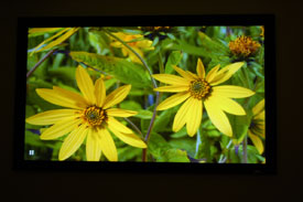 Epson 720 Home Cinema Projector Out-Of-Box Screen Shot 2