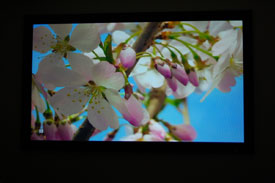 Sanyo PLV-Z60 Home Theater Proejctor Out-Of-Box Adjustments Screen Shot 4