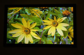 Sanyo PLV-Z60 Home Theater Proejctor Out-Of-Box Screen Shot 2