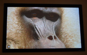 Epson 1080 Home Theater Projector Screen Cap Of A Monkey