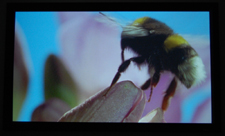 Mitsubishi HC5500 Home Theater Projector Out Of Box Screenshot