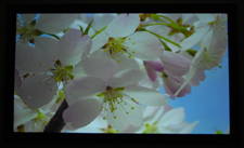 Mitsubishi HC5500 Home Theater Projector Out Of Box Screenshot 3