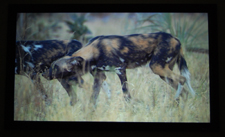 Mitsubishi HC5500 Home Theater Projector Out Of Box Screenshot 4