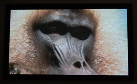 BenQ W5000 Home Theater Projector Screen Cap Of A Monkey