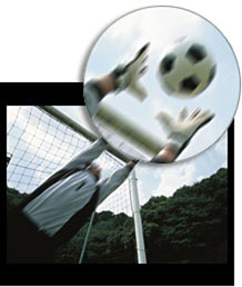 LCD Motion Respone Time