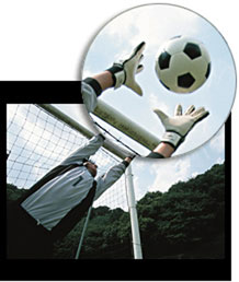 Plasma Motion Respone Time