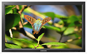 Samsung 400TSN-2 Flat Panel LCD TV