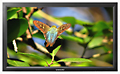 Samsung 400TSN2 Professional LCD TV