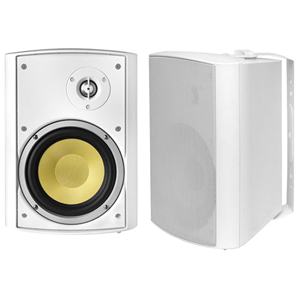 Bic America VK6IO Speaker INDOOR/OUTDOOR SPEAKERS