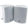 Dual LU53PW Outdoor Speaker