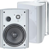 TIC ASP-120W Outdoor 6.5 inch Speakers